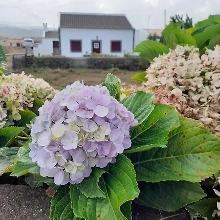 Refugio Pedreiras Holiday home Praia da Vitoria